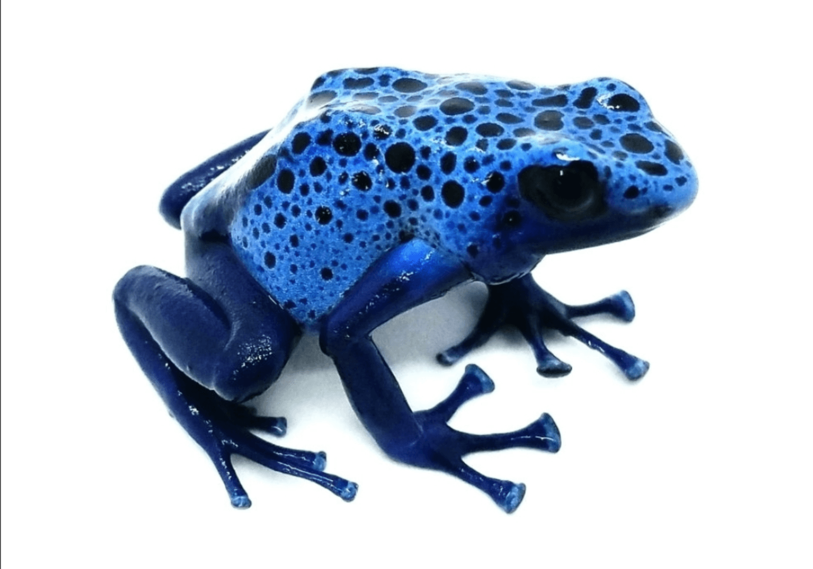 IMG_20260413_124035 photo